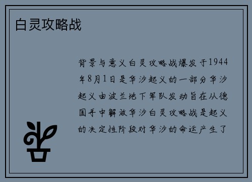 白灵攻略战